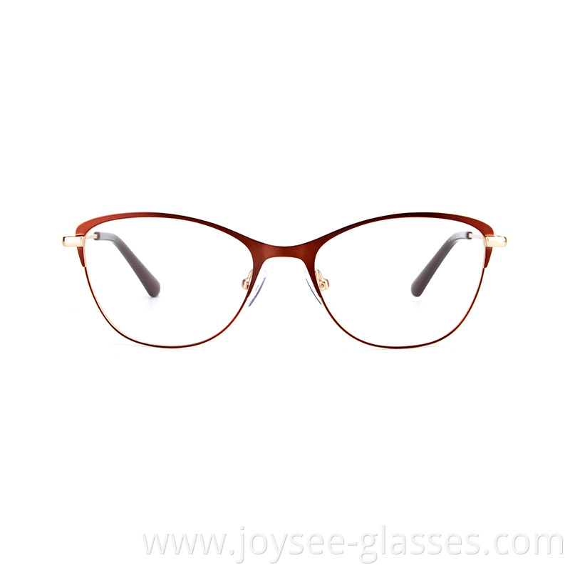 Two Tones Metal Eyeglasses 9